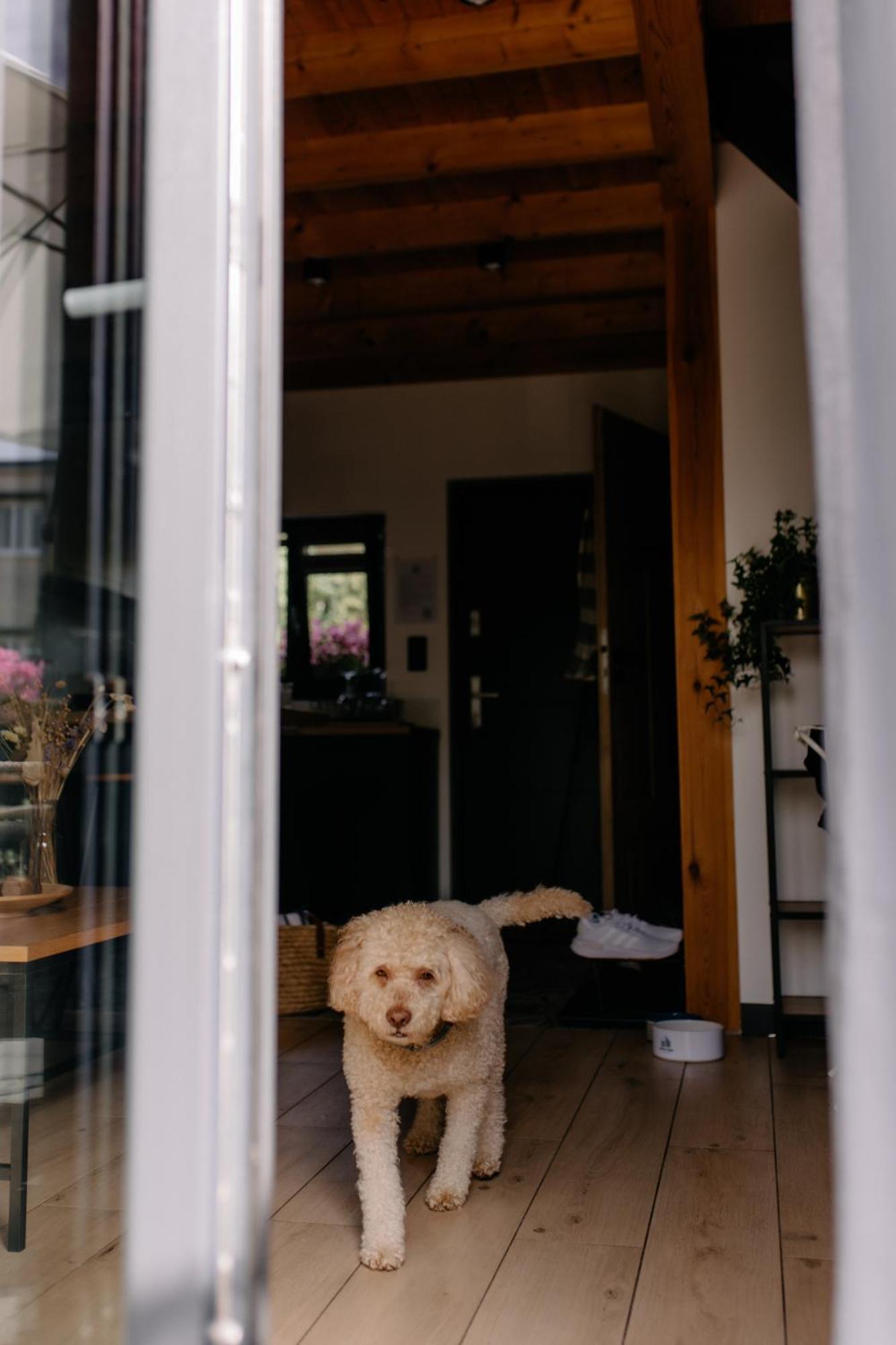 Holiday home Dobre Katy Caloroczne